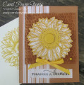 2020/07/03/stampin_up_celebrate_sunflowers_carolpaynestamps1_by_Carol_Payne.JPG