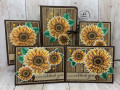 2020/08/01/Celebrate_Sunflowers_Grouping_2_by_Glenda_Calkins.JPG