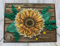 2020/08/07/Bonus_1_Celebrate_Sunflower_2_by_Glenda_Calkins.JPG