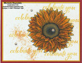 2021/11/04/celebrate_sunflowers_masked_flower_celebration_watermark_by_Michelerey.jpg