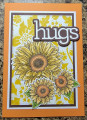 2024/01/20/Sunflower_Hugs_by_pepperann.jpeg
