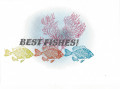 2020/07/25/072420_best_fishes_too_by_Webster8.jpg
