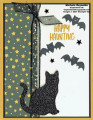 2021/10/28/banner_year_black_cat_haunting_watermark_by_Michelerey.jpg