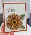 2020/09/29/Celebrate-Sunflowers-With-Love_by_expressivelydeb.png