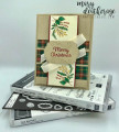2020/11/10/Stampin_Up_Celebrations_Tidings_and_Tags_-_Stamps-N-Lingers1_by_Stamps-n-lingers.jpg