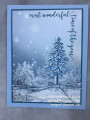 2020/11/11/Frosty_Pines_2020_SMALL_by_Julestamps.JPG