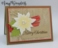2020/07/15/Stampin_Up_Poinsettia_Petals_-_Stamp_With_Amy_K_by_amyk3868.jpeg