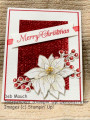 2020/11/10/Poinsettia_Petals_Christmas_by_dcmauch.JPG