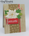 2020/11/13/Stampin_Up_Poinsettia_Petals_-_Stamp_With_Amy_K_by_amyk3868.jpeg