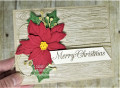 2020/12/06/blog_cards-012_by_lizzier.jpg
