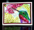 2020/08/13/2020_Hummingbird_CloseUp_by_JRHolbrook.jpg