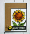 2020/08/22/WAW_DTGD20rainy_Sunflower_Birthday_IMG_4907_by_Kalla_Walla.jpg