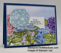 2021/02/11/Stampin_Up_Hydrangea_Haven_-_StampinInTheMeadows-01_by_apsudano.jpeg
