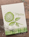 2021/02/20/Green_Hydrangea_Hill_Stampin_Up_card_by_Chris_Smith_by_inkpad.jpeg