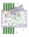 2022/02/19/Dragonfly_Garden_03_SU_by_Bizet.jpg