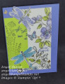 2022/05/21/flowers_and_dragonflies_front_by_MonkeyDo.jpg