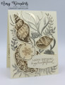 2021/05/20/Stampin_Up_Friends_Are_Like_Seashells_-_Stanp_WIth_Amy_K_by_amyk3868.jpeg