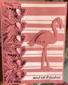 Flamingo_v