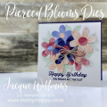 2021/02/24/stampin_up_paper_blooms_in_bloom_stitched_blooms_die_cuts_cuttlebug_birthday_card_facebook_by_jeddibamps.jpg