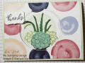 2021/02/16/Succulent_Card_-_front_watermarked_by_kpeckstamp.jpg