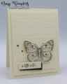2021/03/12/Stampin_Up_Butterfly_Brilliance_-_Stamp_With_Amy_K_by_amyk3868.jpeg