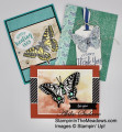 2021/03/16/Stampin_Up_Butterfly_Brilliance_-_StampinInTheMeadows-07_by_apsudano.jpeg