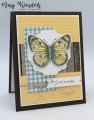 2021/04/14/Stampin_Up_Butterfly_Brilliance_-_Stamp_With_Amy_K_by_amyk3868.jpeg