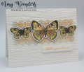 2021/06/26/Stampin_Up_Butterfly_Brilliance_-_Stamp_With_Amy_K_by_amyk3868.jpeg
