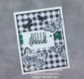 2021/09/15/Butterflies_black_white_spruce_checks_small_by_Julestamps.JPEG