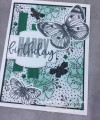 2021/09/15/Butterflies_black_white_spruce_closeup_small_by_Julestamps.JPEG