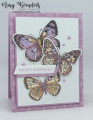2023/02/23/Stampin_Up_Butterfly_Brilliance_-_Stamp_WIth_Amy_K_by_amyk3868.jpeg