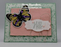 2023/03/30/Stampin_Up_Butterfly_BrillianceNature2creativestampingdesigns_com_by_ksenzak1.jpg