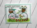 2021/03/28/Mar21VSNK_Birthday_Bicycle_IMG_5572_by_Kalla_Walla.jpg