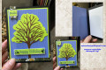 2022/06/23/Beautiful_Tree_BDay_by_Zylvia.jpg