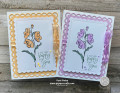 2021/05/10/New_In_Colors_and_Color_Contour_both_by_pspapercrafts.jpeg