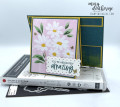 2023/04/30/Stampin_Up_Color_Contour_Fresh_as_a_Daisy_Front_Flap_Card_Board_-_Stamps-N-Lingers1_by_Stamps-n-lingers.jpeg