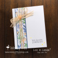 2021/05/12/Wendy_Fee_Stampin_Up_Inspired_Thoughts_Back_to_Basics_Wendy_s_Little_Inklings_by_Mingo.JPG