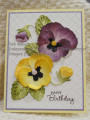 2023/09/30/10_pansy_by_dcmauch.JPG