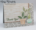2021/06/16/Stampin_Up_Plentiful_Plants_-_Stamp_With_Amy_K_by_amyk3868.jpeg