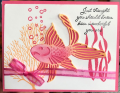2021/06/03/Fishy_coral_by_CAR372.png
