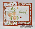 2021/06/28/Stampin_Up_Sweet_As_A_Peach_-_StampinInTheMeadows-01_by_apsudano.jpeg