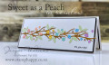 2021/09/08/stampin_up_youre_a_peach_sweet_as_a_peach_rainbow_branches_gold_foil_slimline_card_class_new_zealand_jacque_williams_stamphappy_by_jeddibamps.jpg