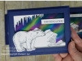 2021/09/14/Arctic_Bears_Bundle_from_Stampin_Up_by_lizzier.jpg