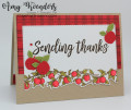 2021/09/06/Stampin_Up_Festive_Bright_-_Stamp_With_Amy_K_by_amyk3868.jpeg