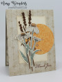 2021/09/01/Stampin_Up_Nature_s_Harvest_-_Stamp_With_Amy_K_by_amyk3868.jpeg
