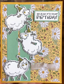 2021/07/21/SC863_sheeps_birthday_by_CAR372.png