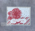 2021/09/02/Dahlias_Christmas_small_by_Julestamps.JPEG