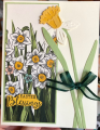 2022/02/14/Field_of_Daffodils_by_CAR372.png