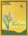 2022/02/16/daffodil_daydream_angled_bright_day_watermark_by_Michelerey.jpg