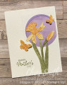 2022/02/21/CC884_Daffodil_DayDream_Stampin_Up_Mother_s_Day_card_by_inkpad.jpg